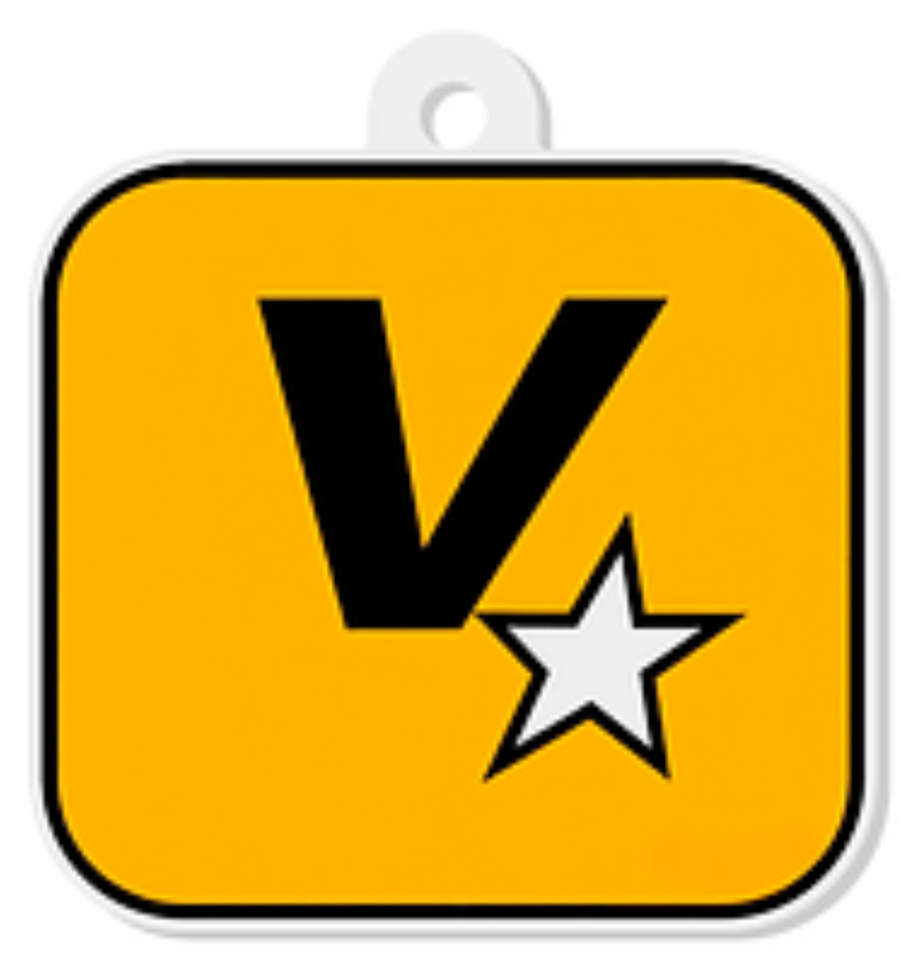 ROCKSTAR keychain